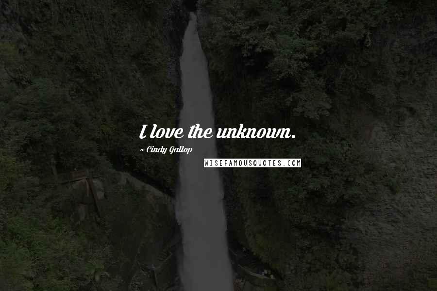 Cindy Gallop Quotes: I love the unknown.