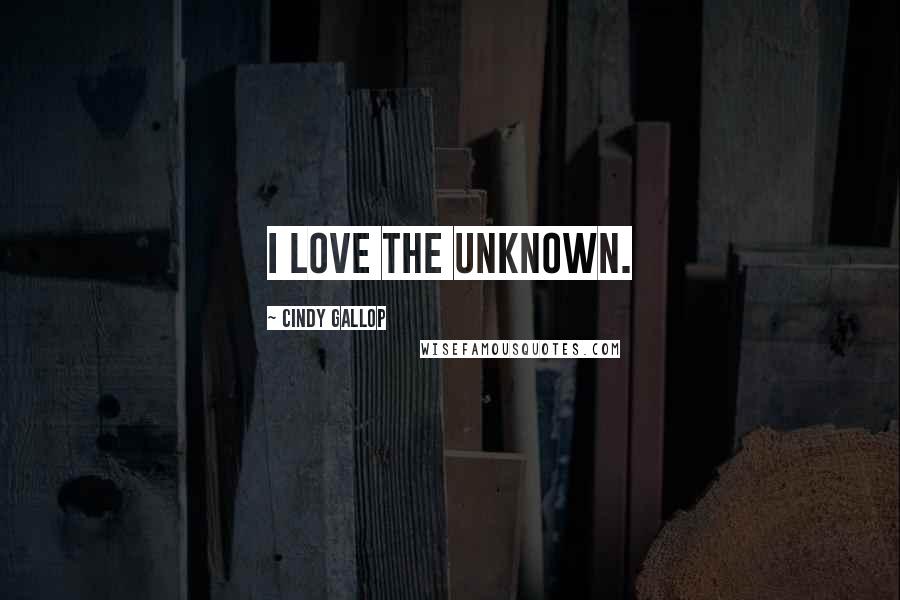 Cindy Gallop Quotes: I love the unknown.