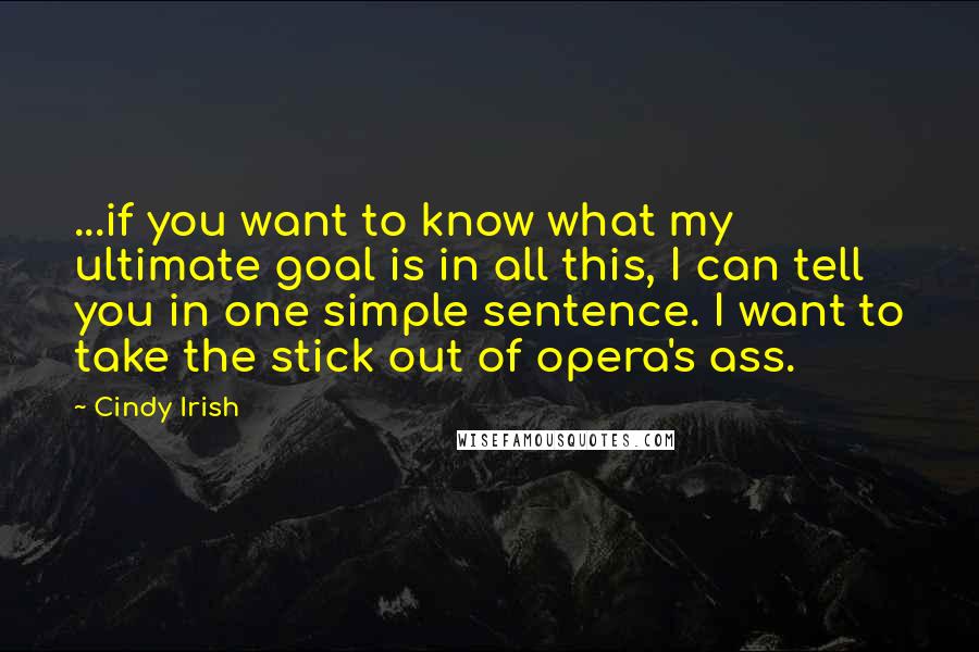 Cindy Irish Quotes: ...if you want to know what my ultimate goal is in all this, I can tell you in one simple sentence. I want to take the stick out of opera's ass.