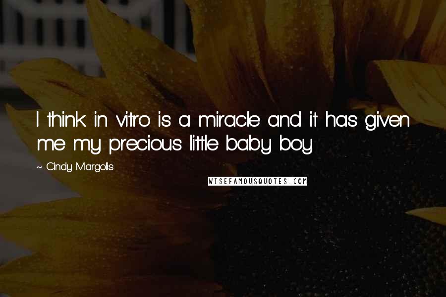 Cindy Margolis Quotes: I think in vitro is a miracle and it has given me my precious little baby boy.