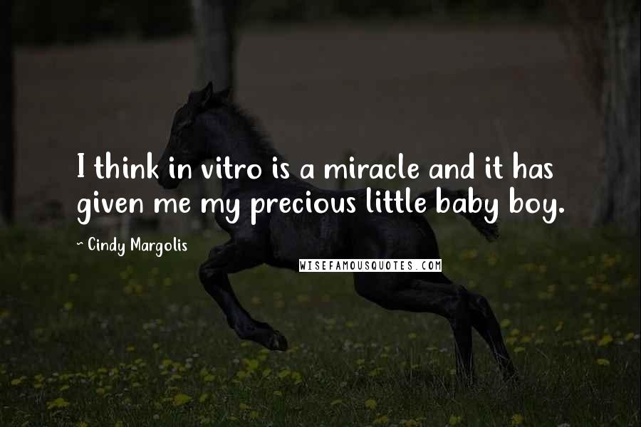 Cindy Margolis Quotes: I think in vitro is a miracle and it has given me my precious little baby boy.