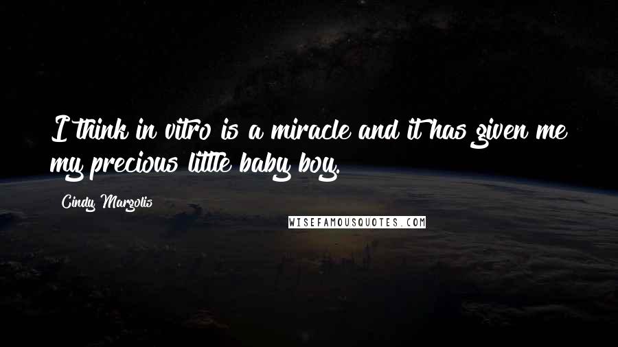 Cindy Margolis Quotes: I think in vitro is a miracle and it has given me my precious little baby boy.