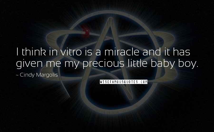 Cindy Margolis Quotes: I think in vitro is a miracle and it has given me my precious little baby boy.