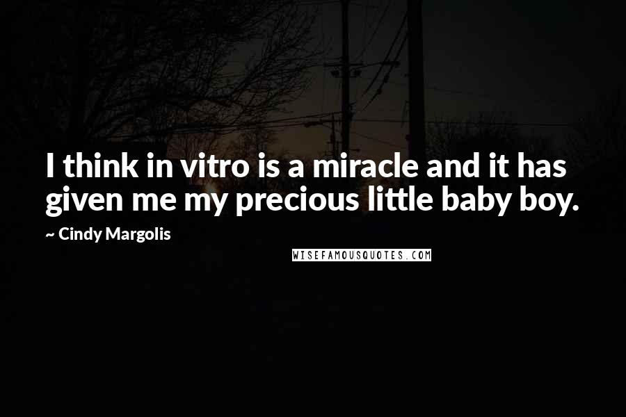 Cindy Margolis Quotes: I think in vitro is a miracle and it has given me my precious little baby boy.