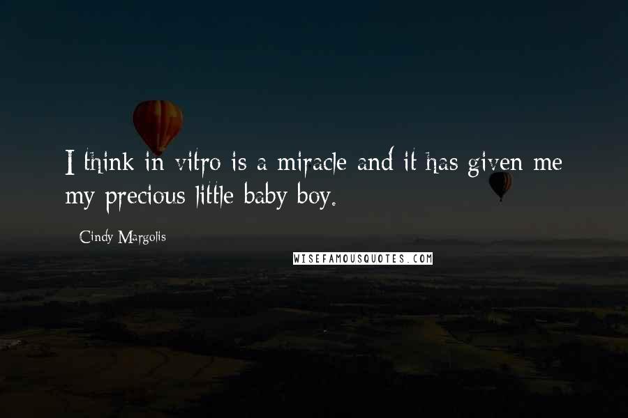 Cindy Margolis Quotes: I think in vitro is a miracle and it has given me my precious little baby boy.