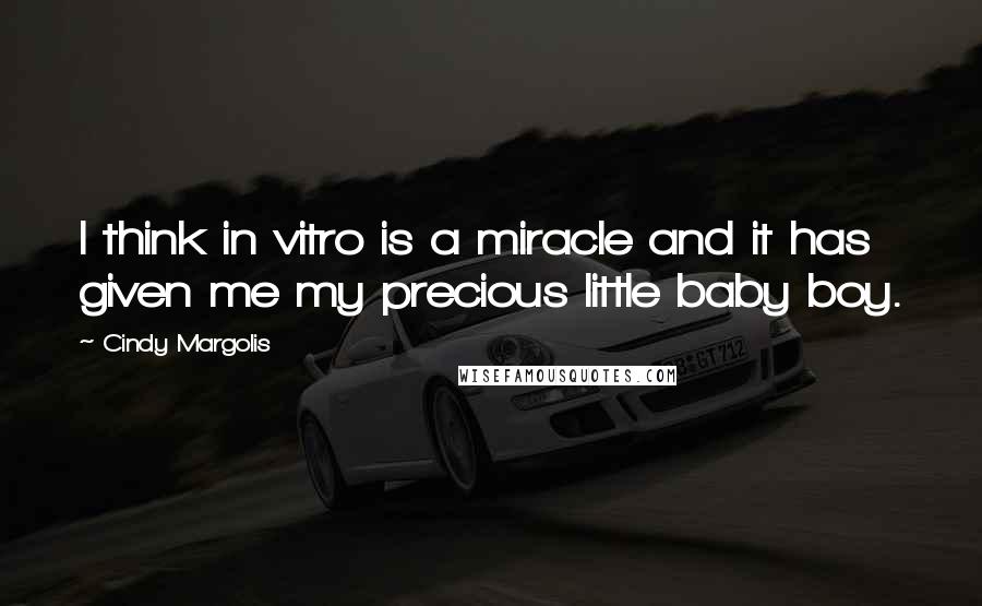Cindy Margolis Quotes: I think in vitro is a miracle and it has given me my precious little baby boy.