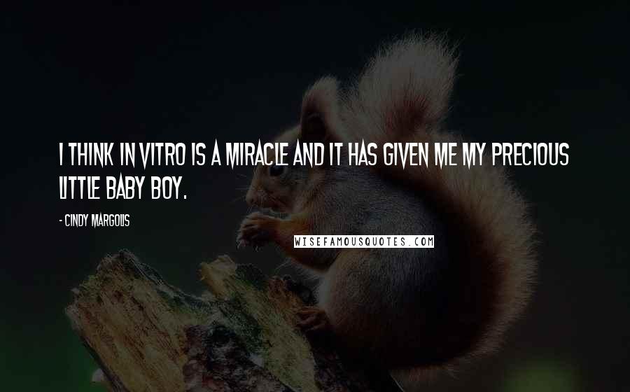 Cindy Margolis Quotes: I think in vitro is a miracle and it has given me my precious little baby boy.