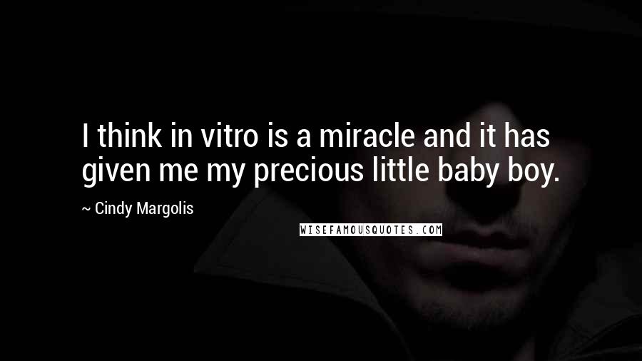 Cindy Margolis Quotes: I think in vitro is a miracle and it has given me my precious little baby boy.