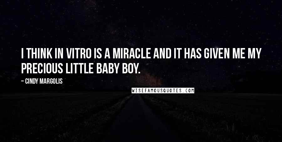 Cindy Margolis Quotes: I think in vitro is a miracle and it has given me my precious little baby boy.