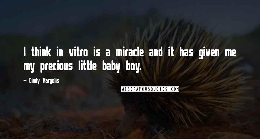 Cindy Margolis Quotes: I think in vitro is a miracle and it has given me my precious little baby boy.