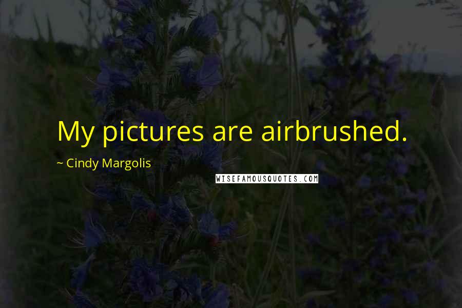Cindy Margolis Quotes: My pictures are airbrushed.