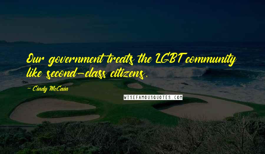 Cindy McCain Quotes: Our government treats the LGBT community like second-class citizens.