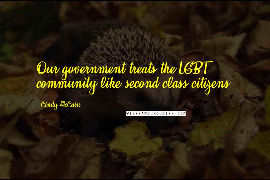 Cindy McCain Quotes: Our government treats the LGBT community like second-class citizens.
