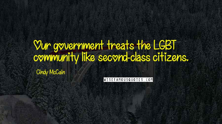 Cindy McCain Quotes: Our government treats the LGBT community like second-class citizens.