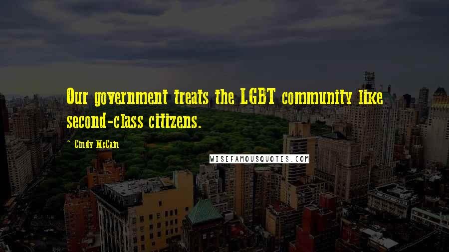 Cindy McCain Quotes: Our government treats the LGBT community like second-class citizens.