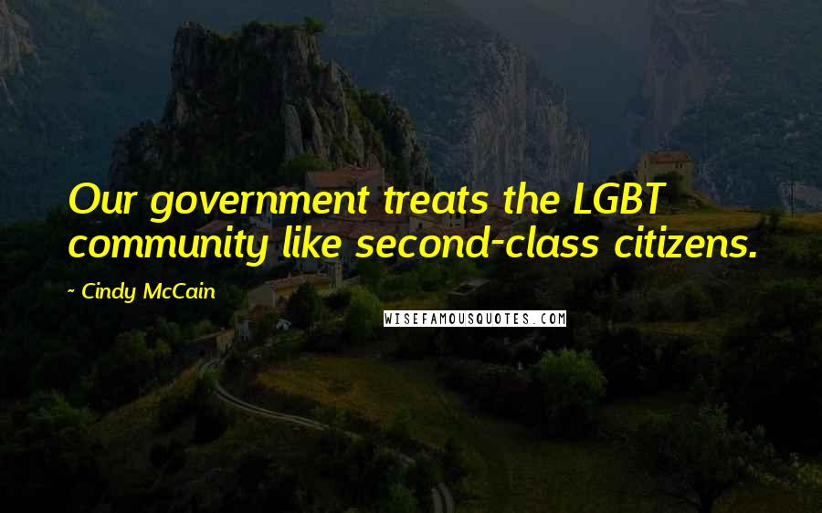 Cindy McCain Quotes: Our government treats the LGBT community like second-class citizens.