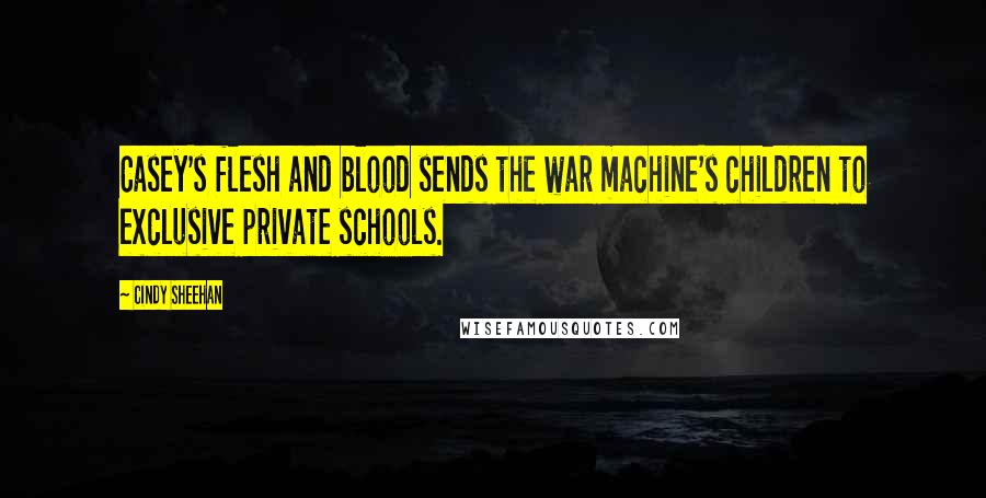 Cindy Sheehan Quotes: Casey's flesh and blood sends the war machine's children to exclusive private schools.