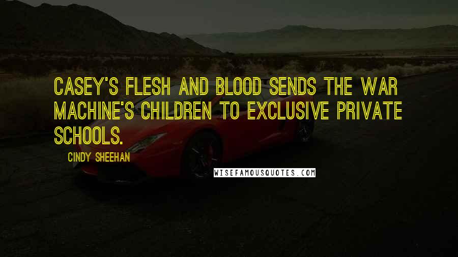 Cindy Sheehan Quotes: Casey's flesh and blood sends the war machine's children to exclusive private schools.