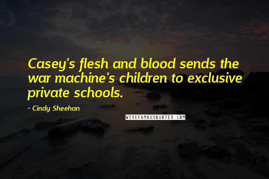 Cindy Sheehan Quotes: Casey's flesh and blood sends the war machine's children to exclusive private schools.