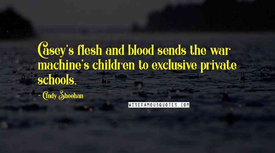 Cindy Sheehan Quotes: Casey's flesh and blood sends the war machine's children to exclusive private schools.