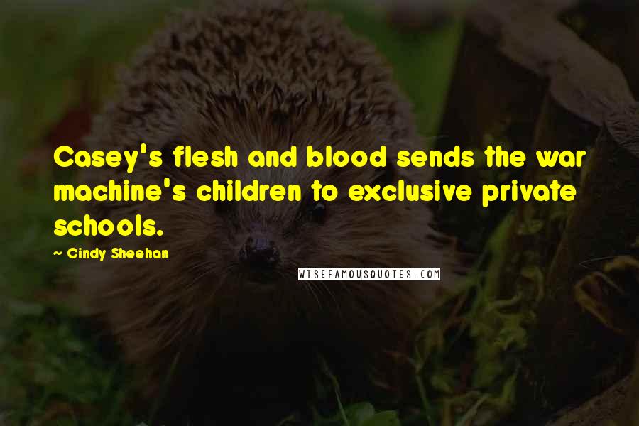 Cindy Sheehan Quotes: Casey's flesh and blood sends the war machine's children to exclusive private schools.