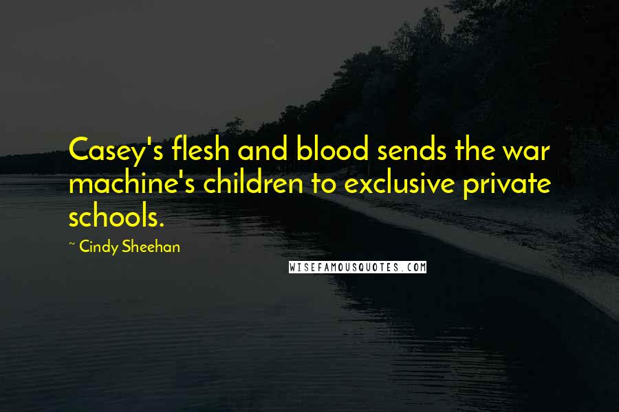 Cindy Sheehan Quotes: Casey's flesh and blood sends the war machine's children to exclusive private schools.