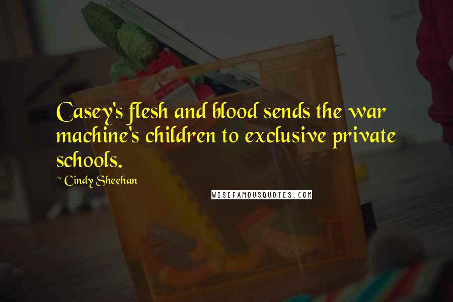 Cindy Sheehan Quotes: Casey's flesh and blood sends the war machine's children to exclusive private schools.