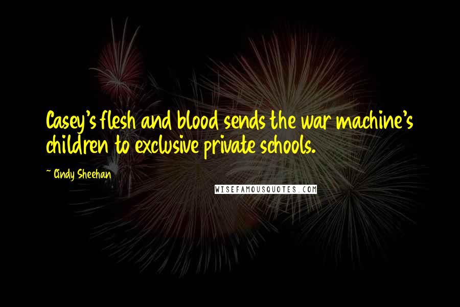 Cindy Sheehan Quotes: Casey's flesh and blood sends the war machine's children to exclusive private schools.