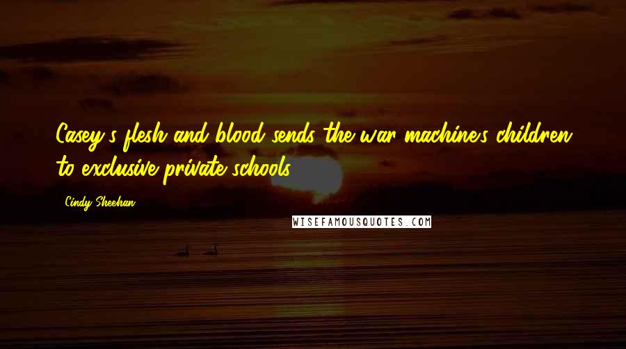 Cindy Sheehan Quotes: Casey's flesh and blood sends the war machine's children to exclusive private schools.