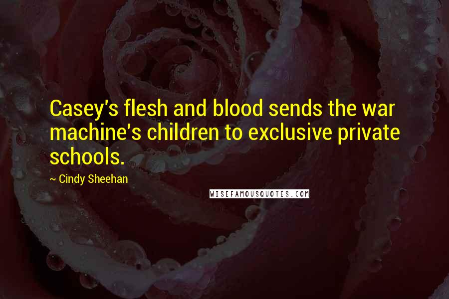 Cindy Sheehan Quotes: Casey's flesh and blood sends the war machine's children to exclusive private schools.