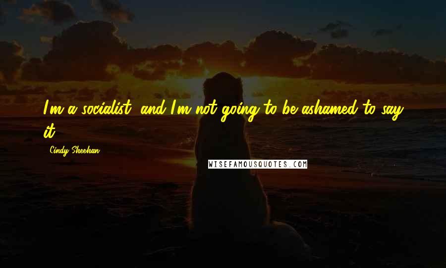 Cindy Sheehan Quotes: I'm a socialist, and I'm not going to be ashamed to say it!