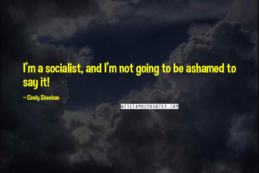 Cindy Sheehan Quotes: I'm a socialist, and I'm not going to be ashamed to say it!