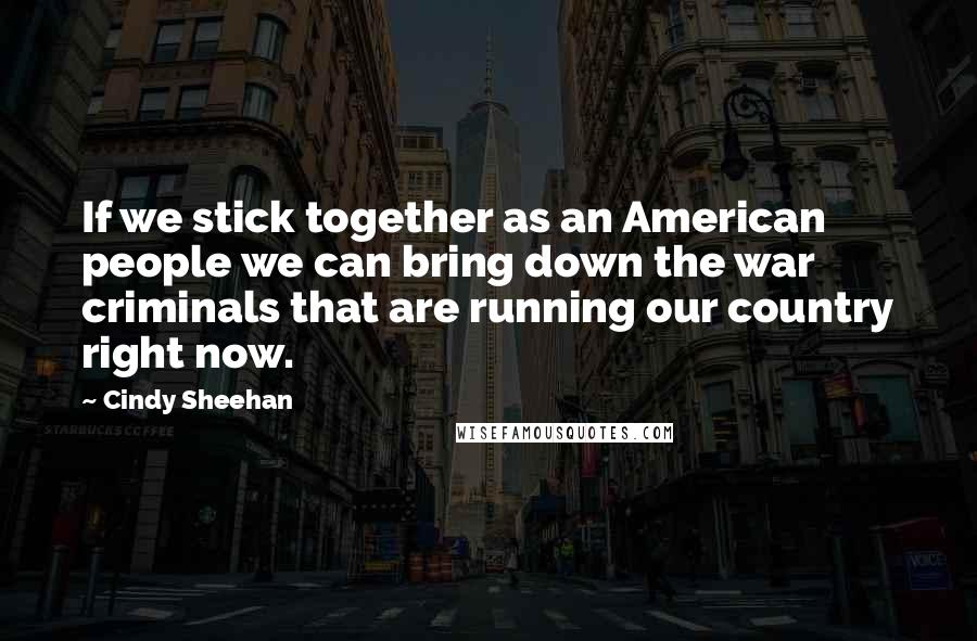 Cindy Sheehan Quotes: If we stick together as an American people we can bring down the war criminals that are running our country right now.