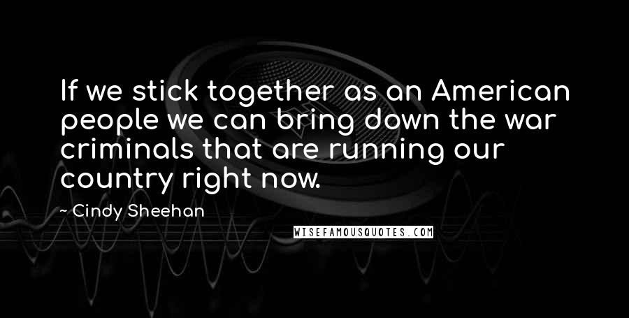 Cindy Sheehan Quotes: If we stick together as an American people we can bring down the war criminals that are running our country right now.