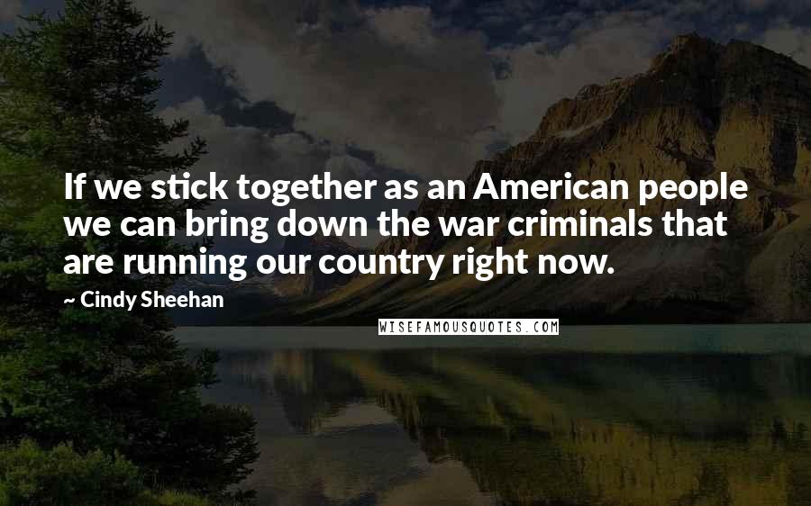 Cindy Sheehan Quotes: If we stick together as an American people we can bring down the war criminals that are running our country right now.