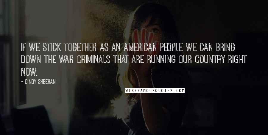 Cindy Sheehan Quotes: If we stick together as an American people we can bring down the war criminals that are running our country right now.