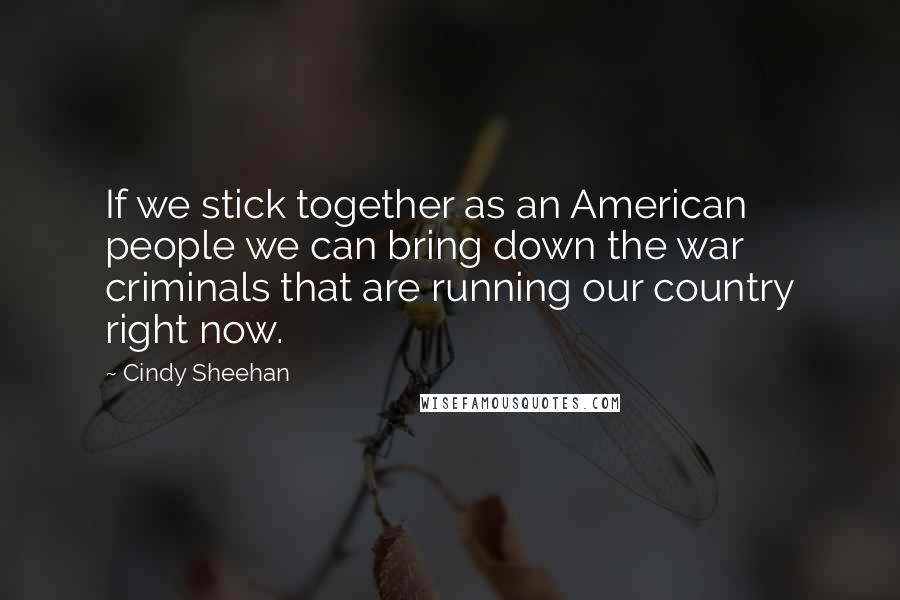 Cindy Sheehan Quotes: If we stick together as an American people we can bring down the war criminals that are running our country right now.