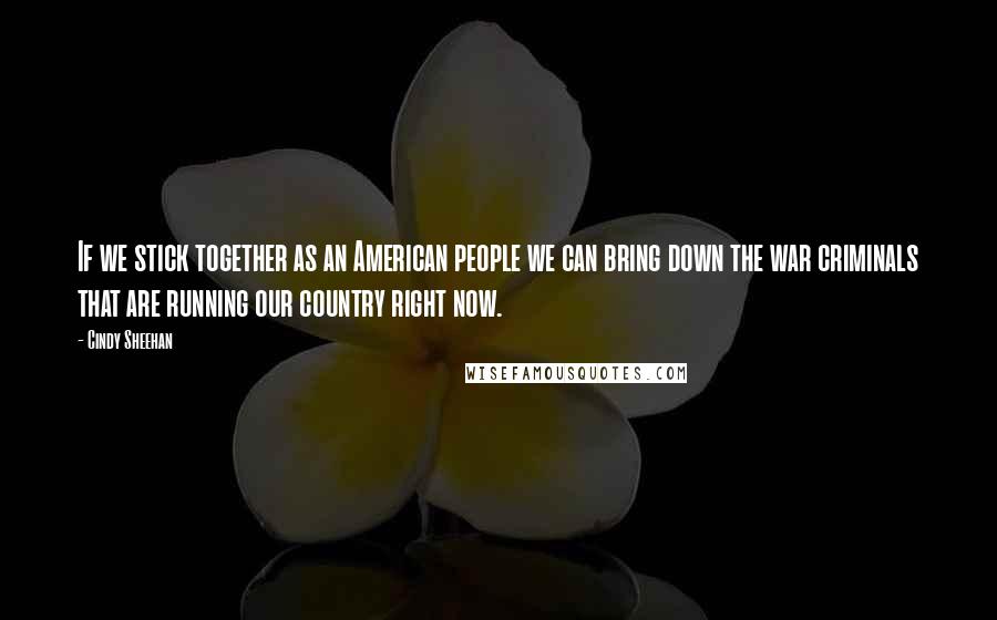 Cindy Sheehan Quotes: If we stick together as an American people we can bring down the war criminals that are running our country right now.