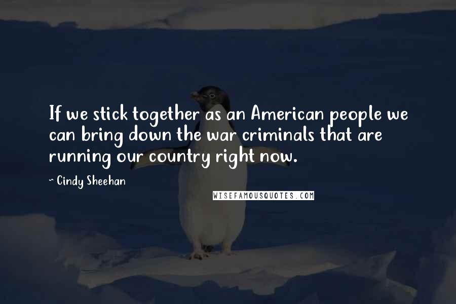 Cindy Sheehan Quotes: If we stick together as an American people we can bring down the war criminals that are running our country right now.
