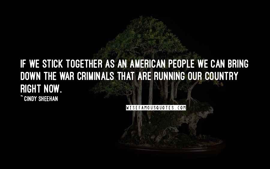 Cindy Sheehan Quotes: If we stick together as an American people we can bring down the war criminals that are running our country right now.