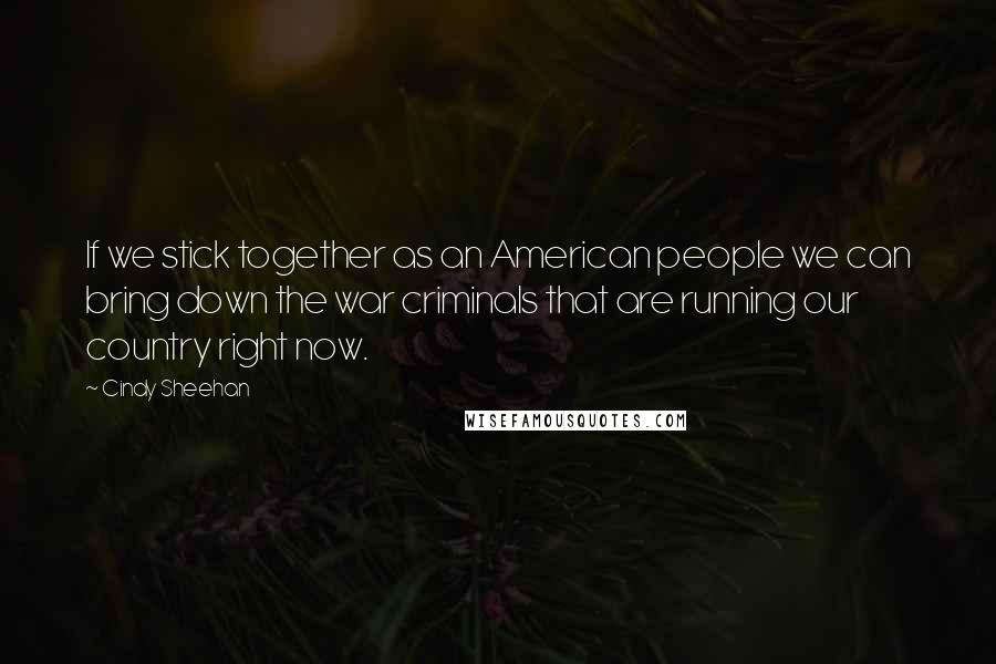 Cindy Sheehan Quotes: If we stick together as an American people we can bring down the war criminals that are running our country right now.