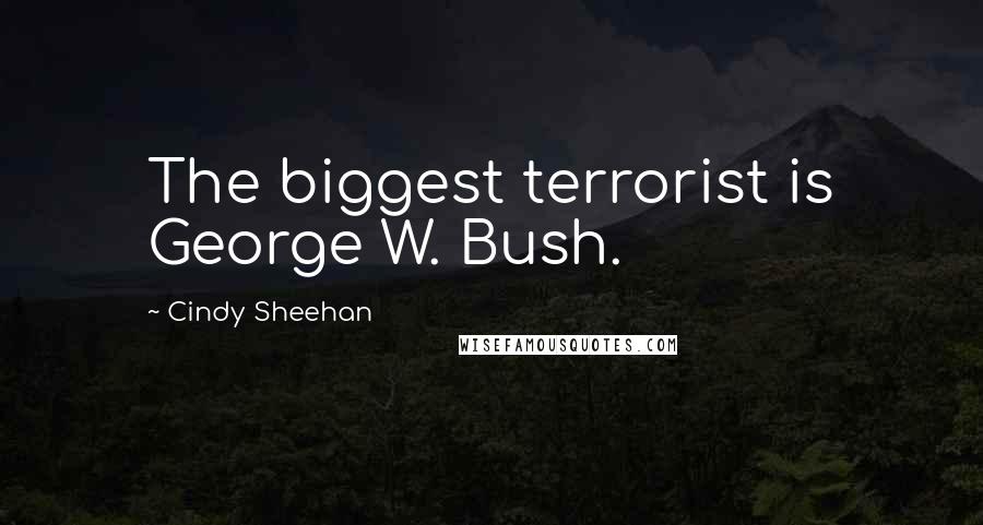 Cindy Sheehan Quotes: The biggest terrorist is George W. Bush.