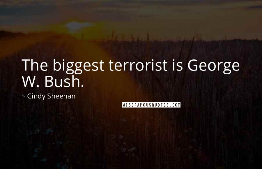 Cindy Sheehan Quotes: The biggest terrorist is George W. Bush.