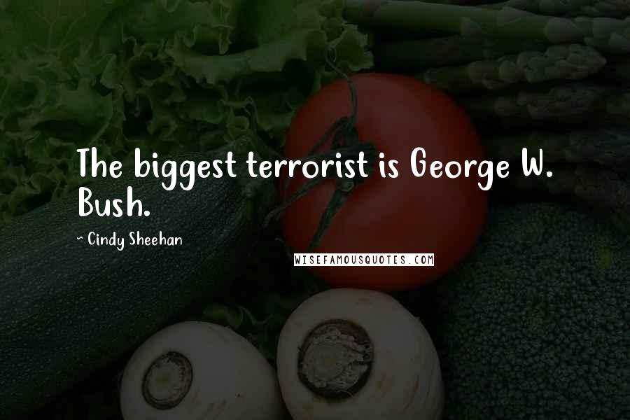 Cindy Sheehan Quotes: The biggest terrorist is George W. Bush.