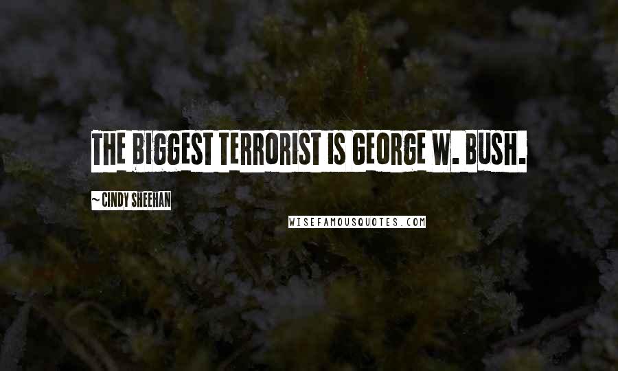 Cindy Sheehan Quotes: The biggest terrorist is George W. Bush.