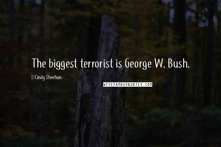 Cindy Sheehan Quotes: The biggest terrorist is George W. Bush.