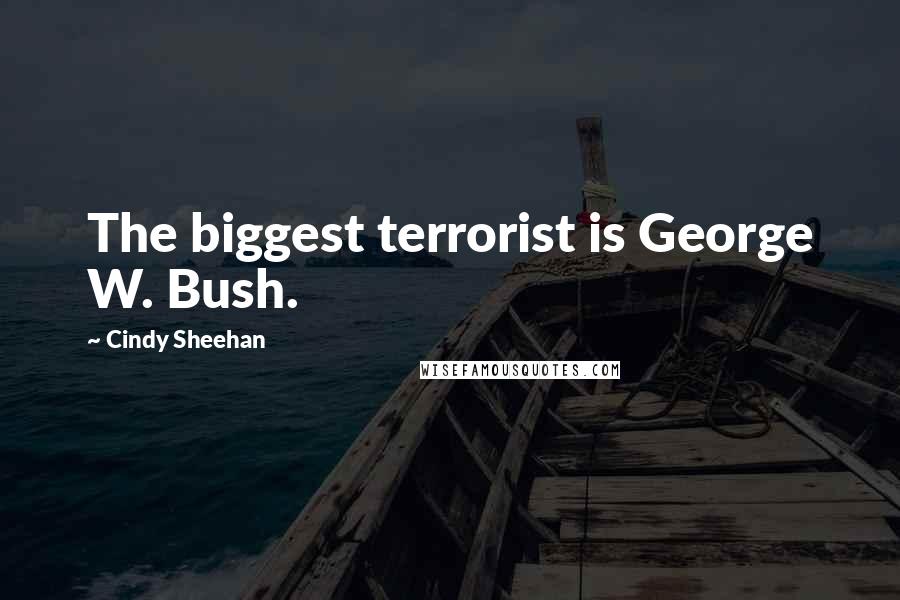 Cindy Sheehan Quotes: The biggest terrorist is George W. Bush.