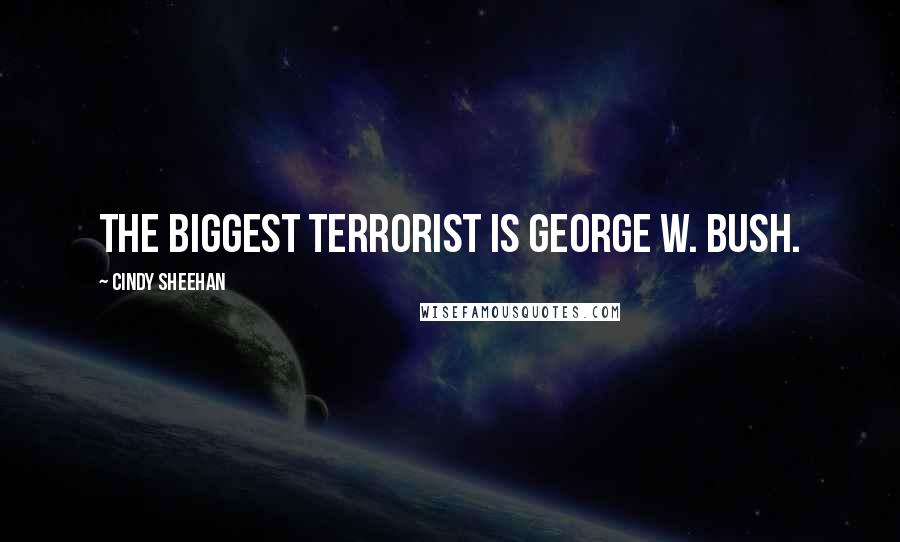 Cindy Sheehan Quotes: The biggest terrorist is George W. Bush.