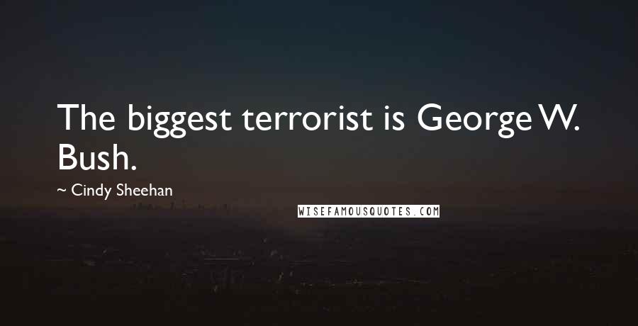 Cindy Sheehan Quotes: The biggest terrorist is George W. Bush.