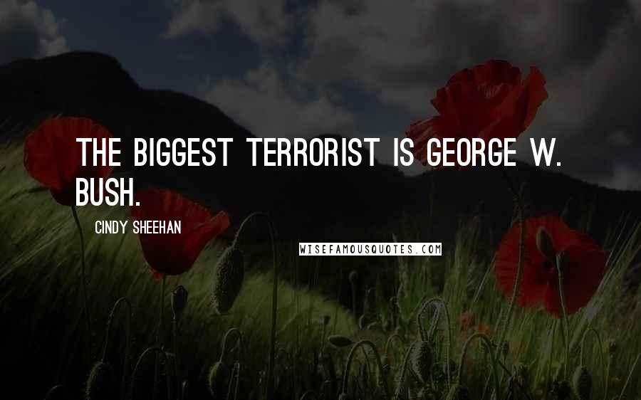 Cindy Sheehan Quotes: The biggest terrorist is George W. Bush.